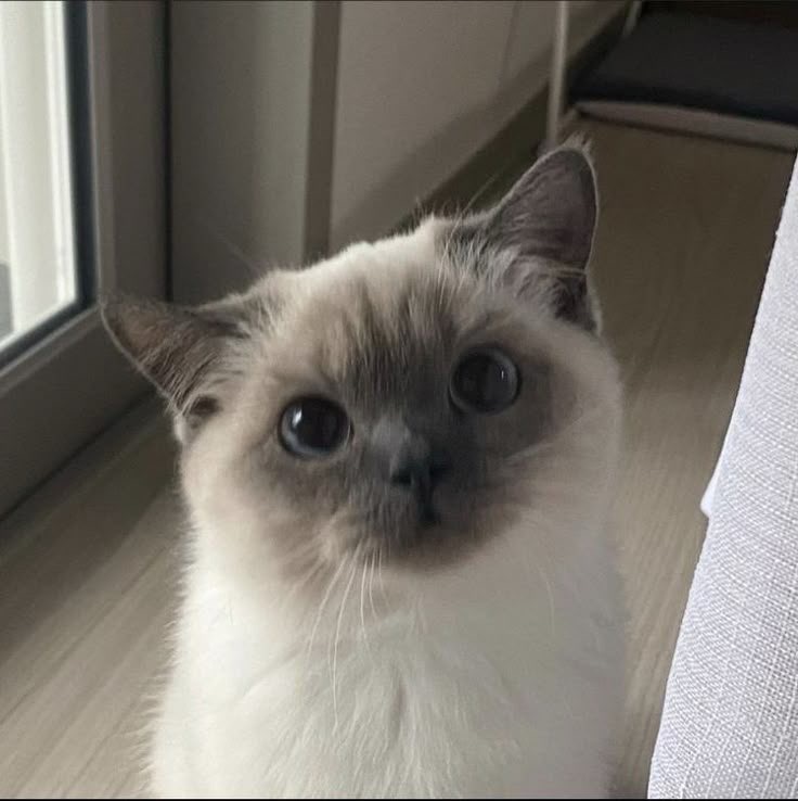 사진 1