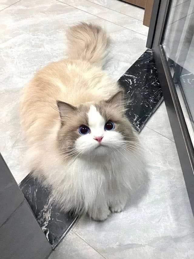 사진 2