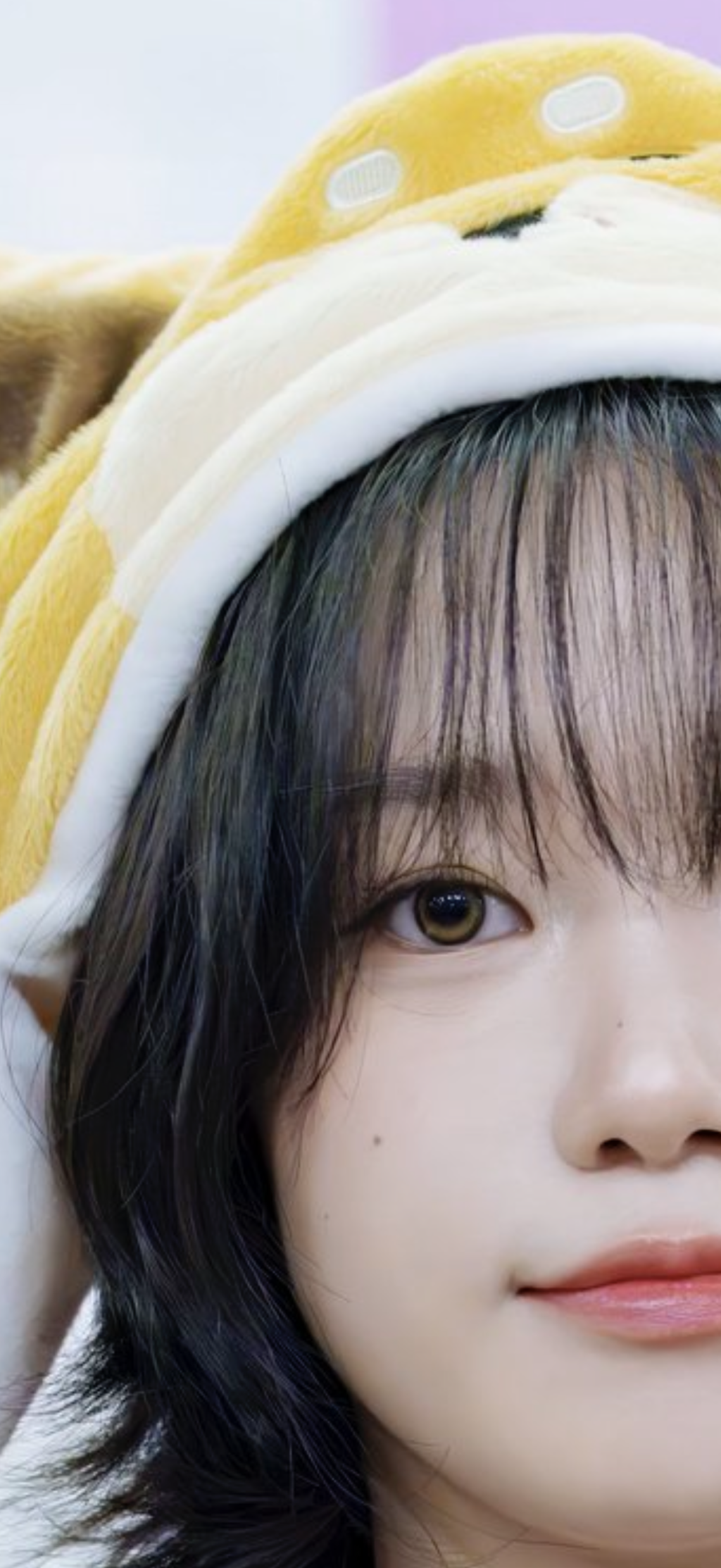 사진 1