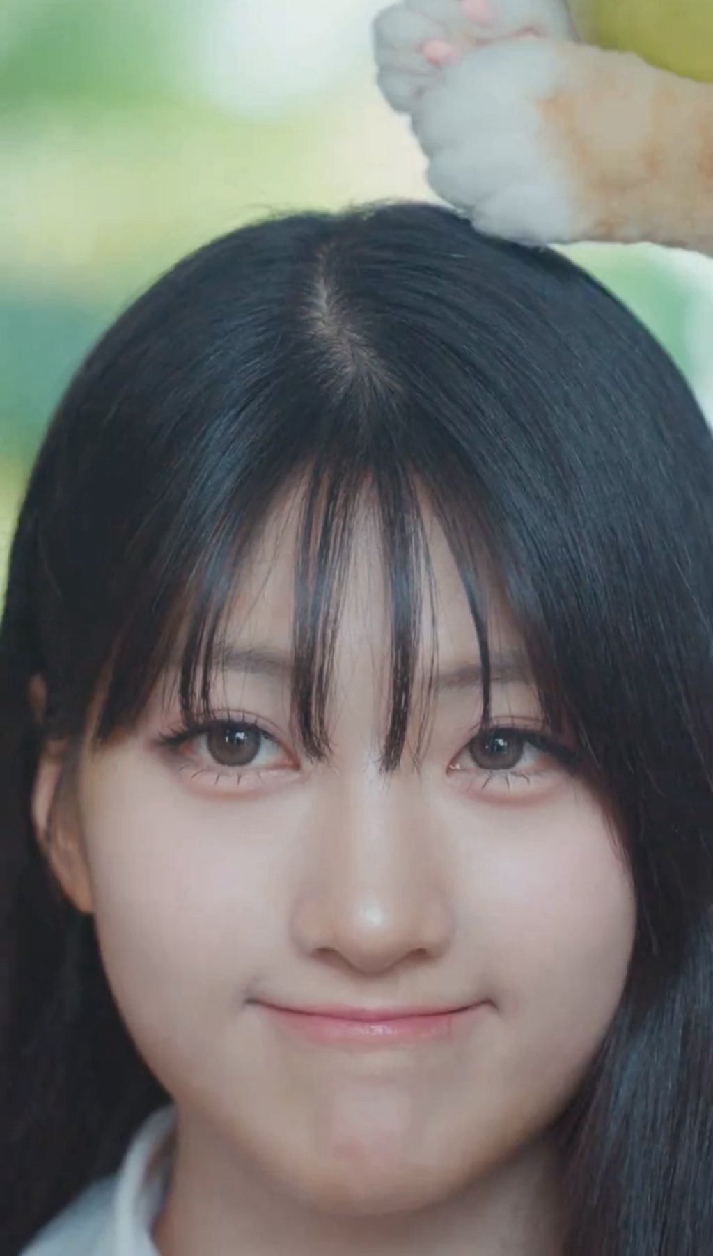 사진 1