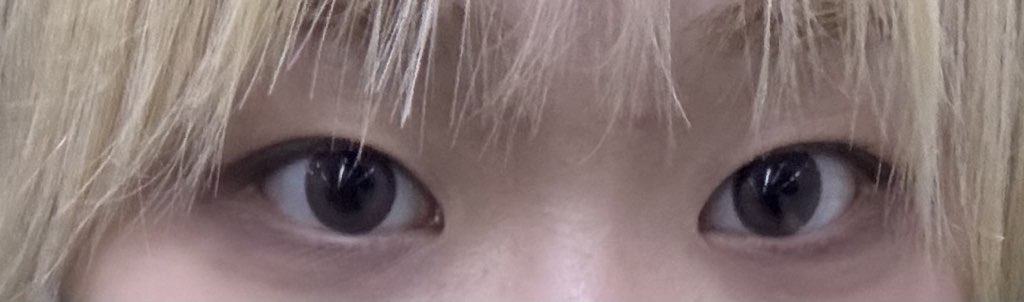 사진 1