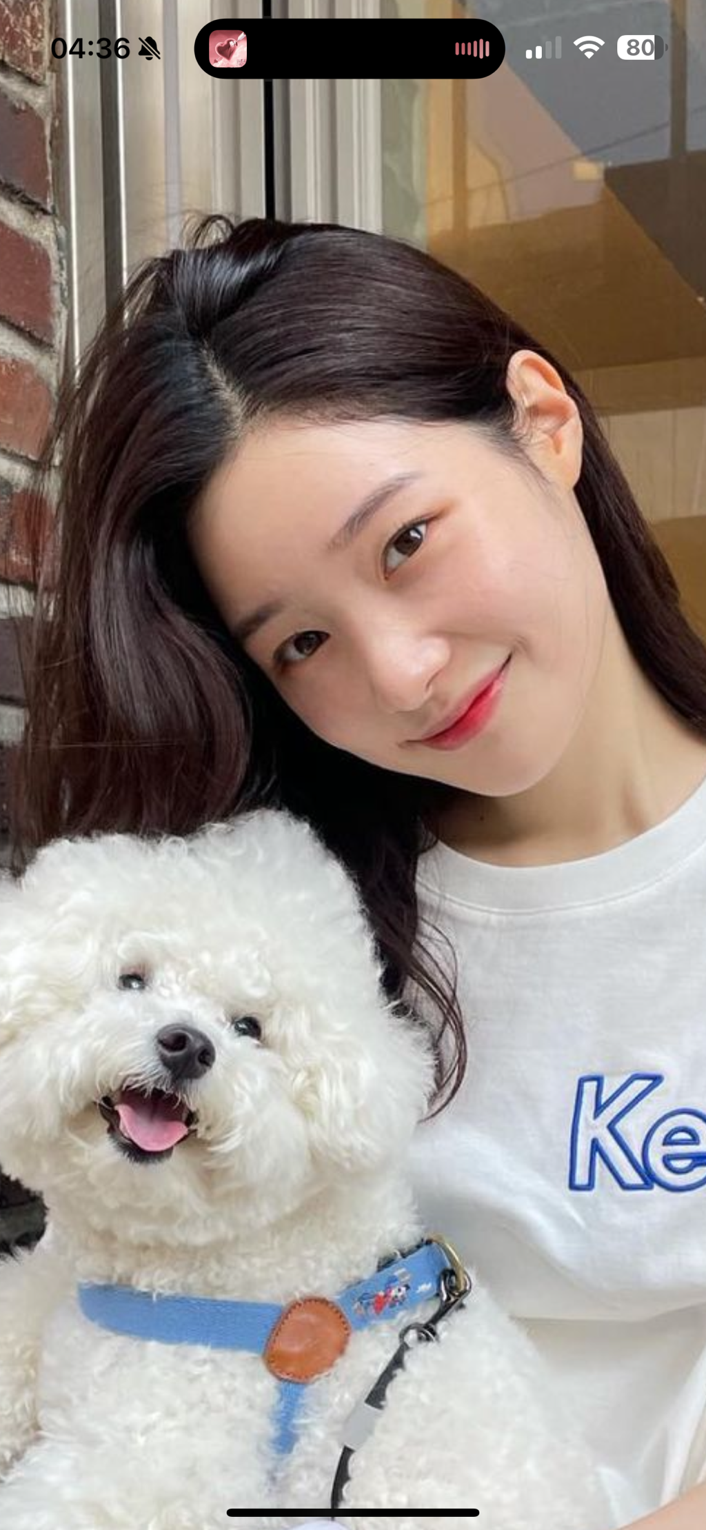 사진 1