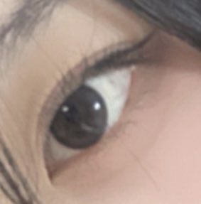 사진 3