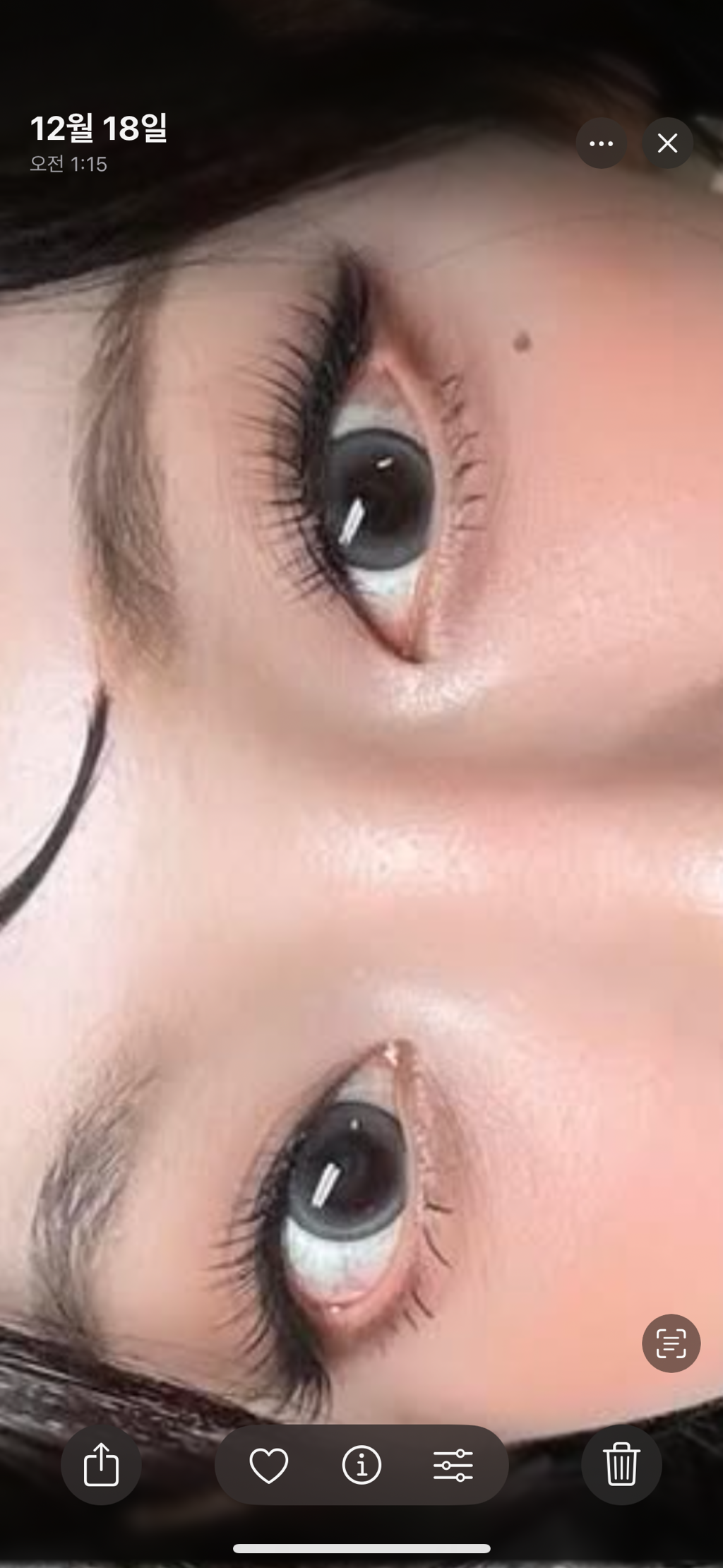 사진 2