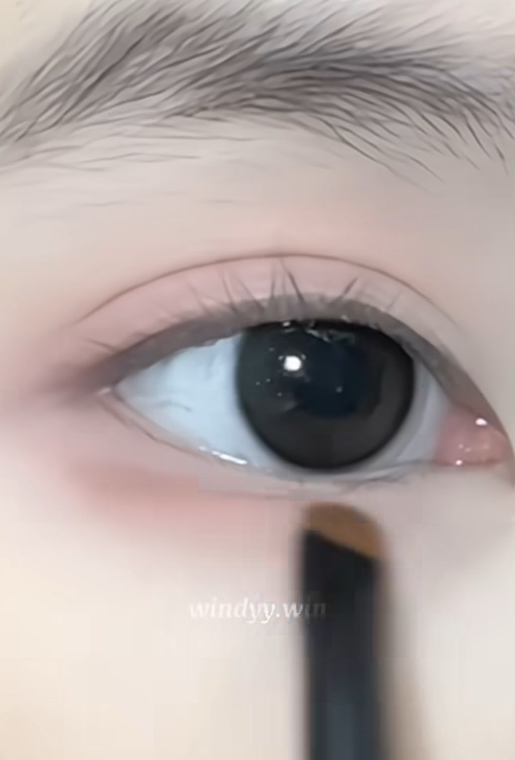 사진 1
