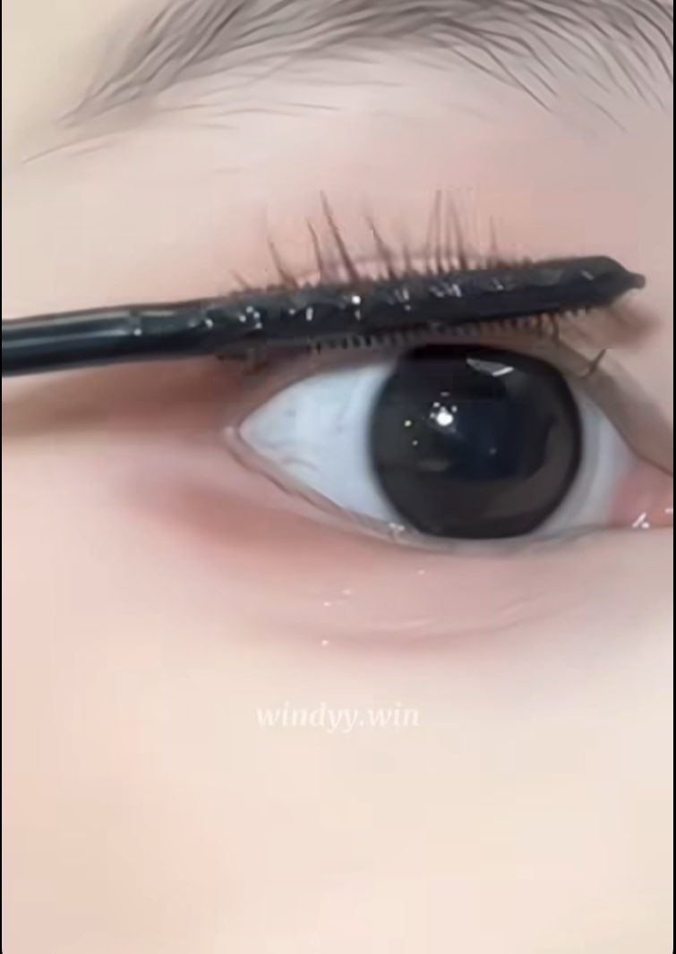 사진 1