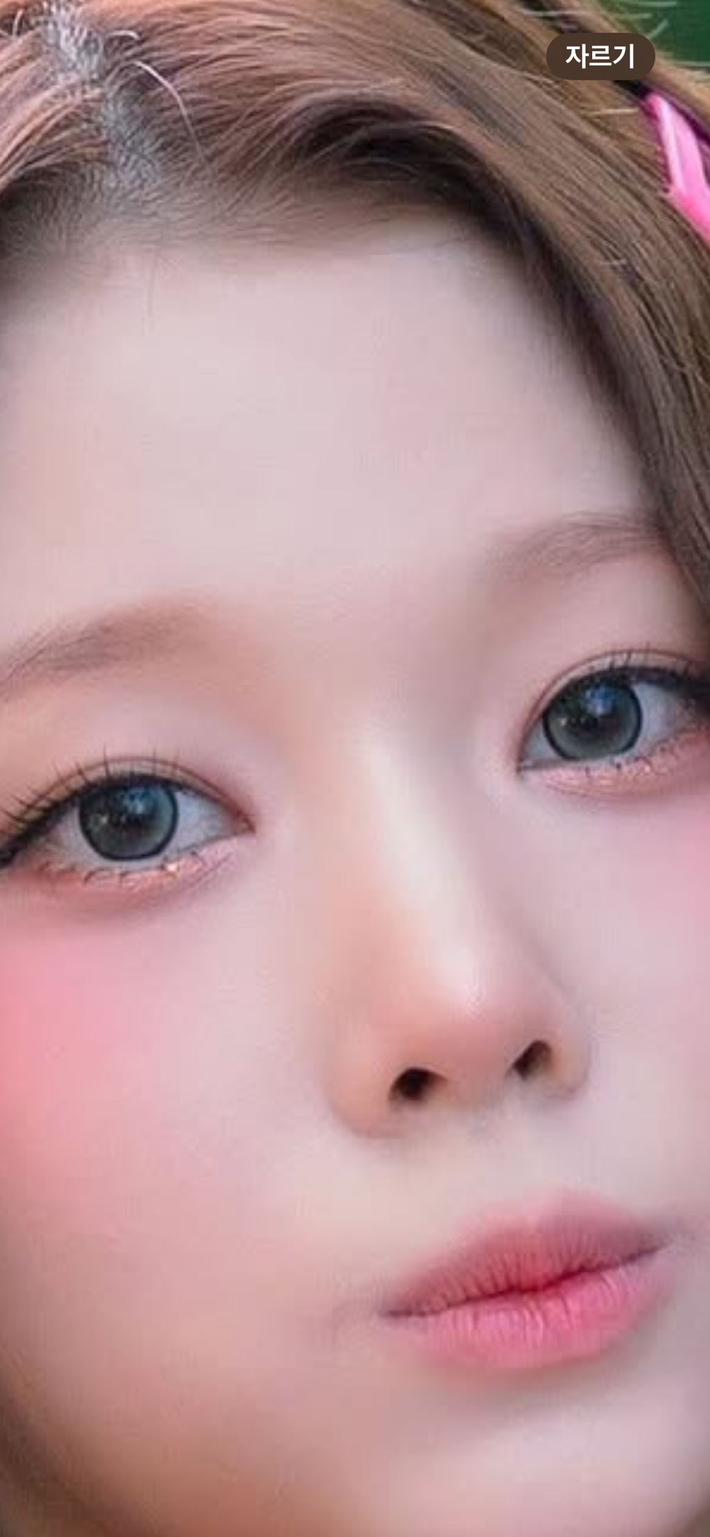 사진 1